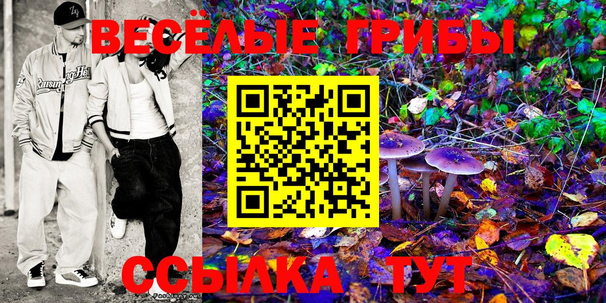 Галлюциногенные грибы Cubensis Кропоткин