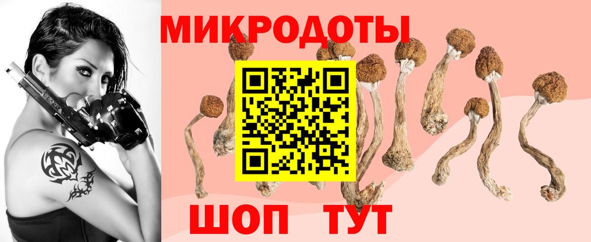 Кропоткин  Галлюциногенные грибы GOLDEN TEACHER  Вход с VPN 